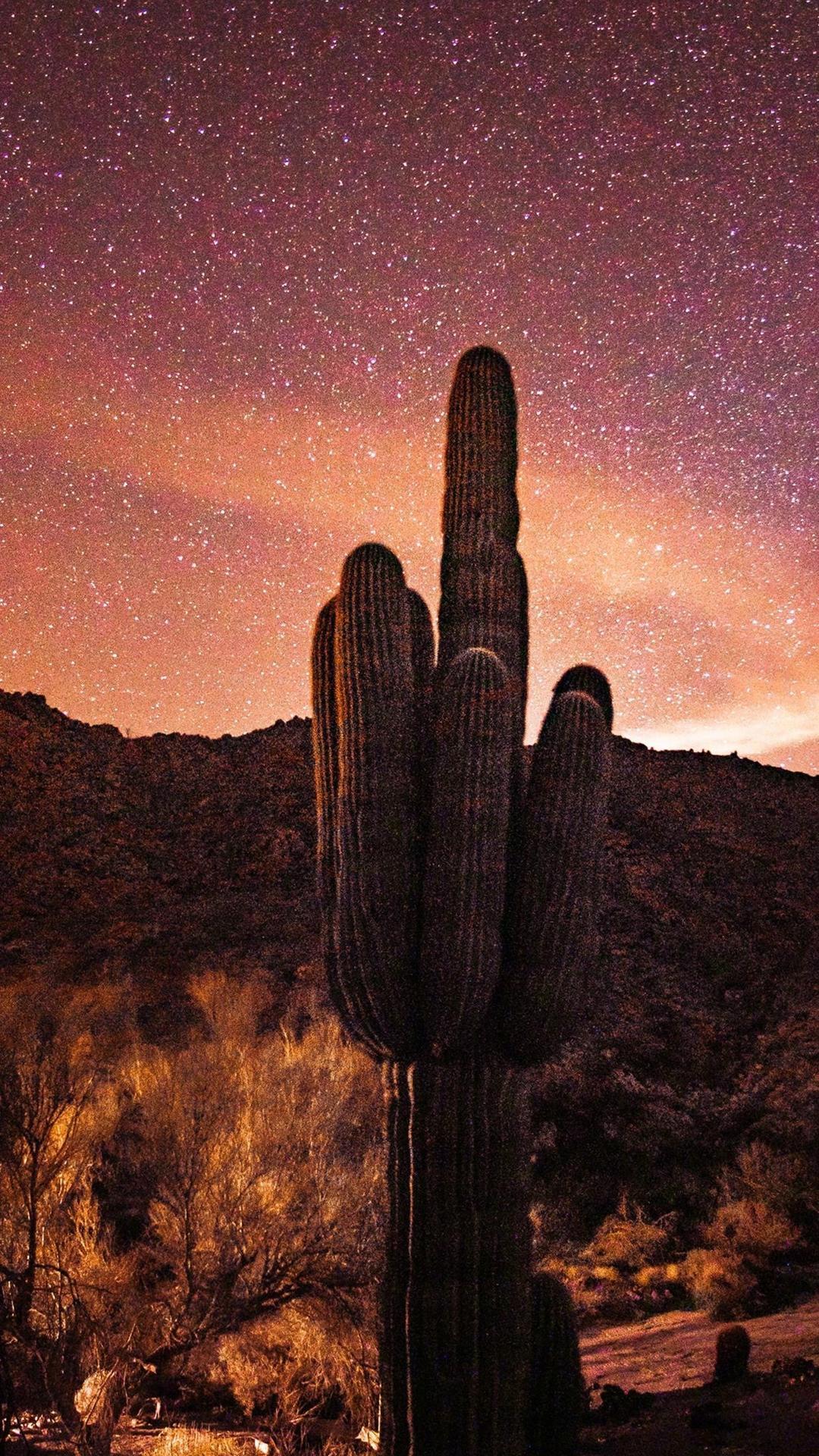 最火背景图好看的星空壁纸图片9