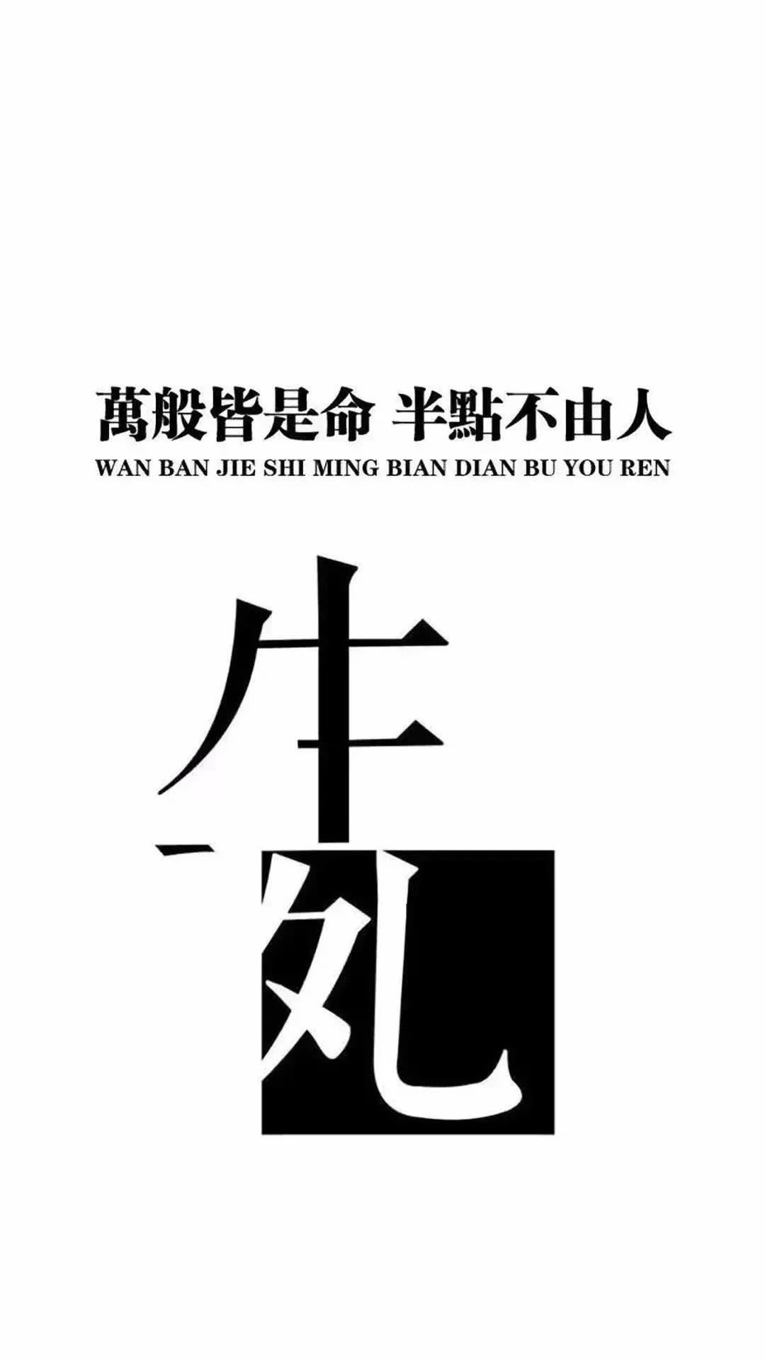 手机壁纸最火的图片文字手机壁纸下载6