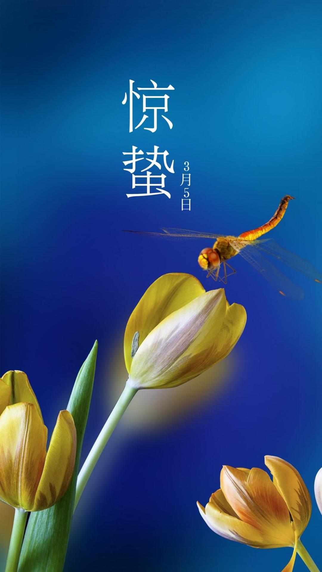二十四节气惊蛰图片手机壁纸6