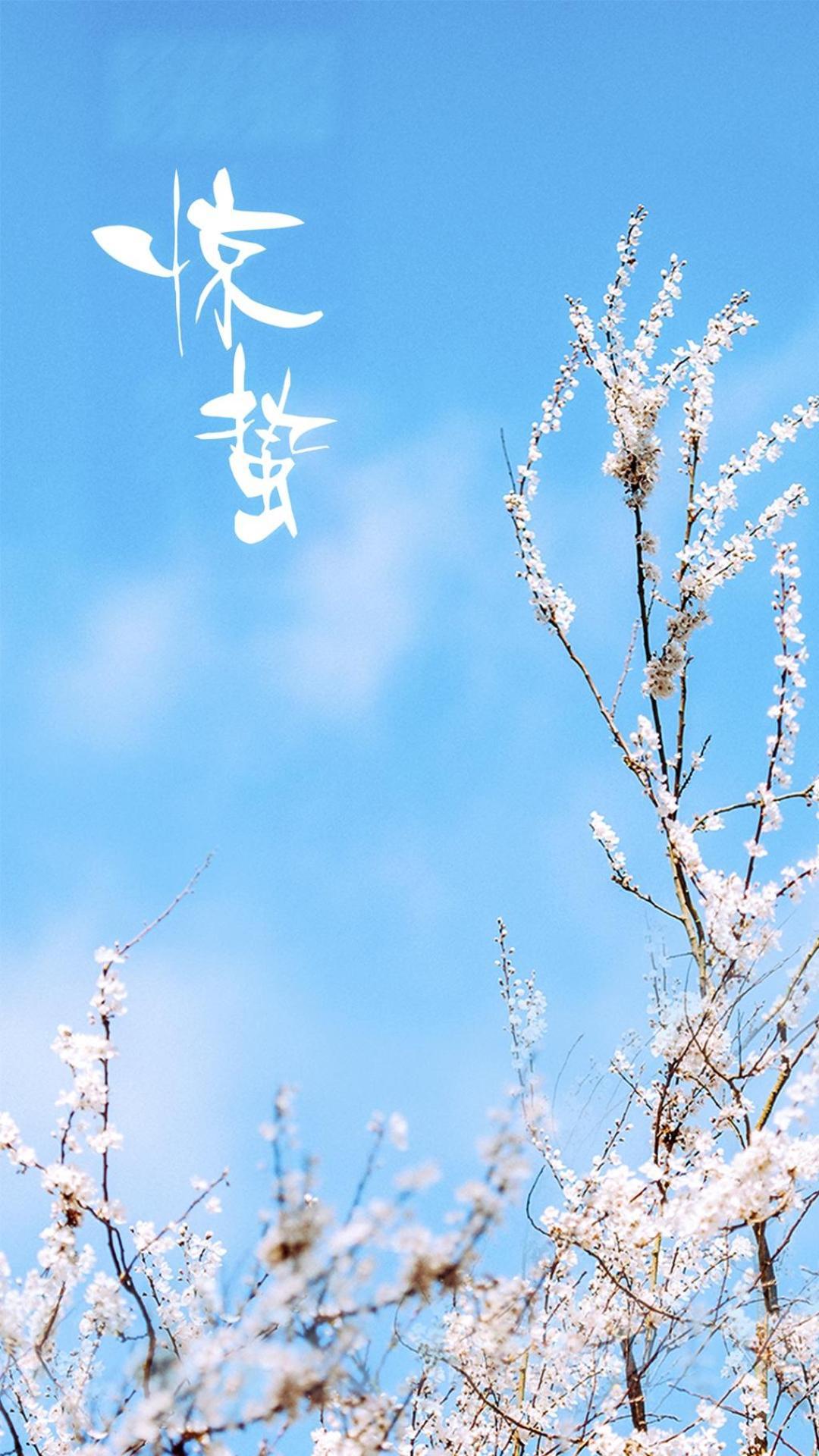 二十四节气惊蛰图片手机壁纸2