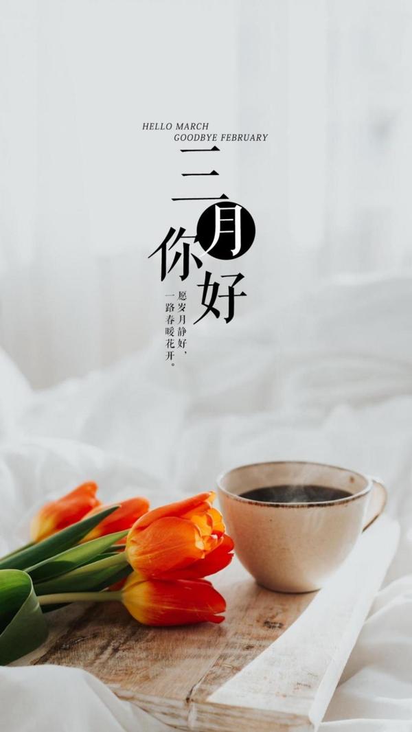 三月手机壁纸你好，春暖花开，美美的