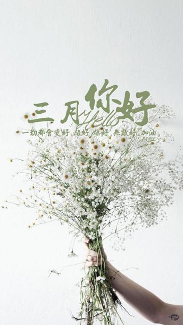 三八妇女节壁纸图片